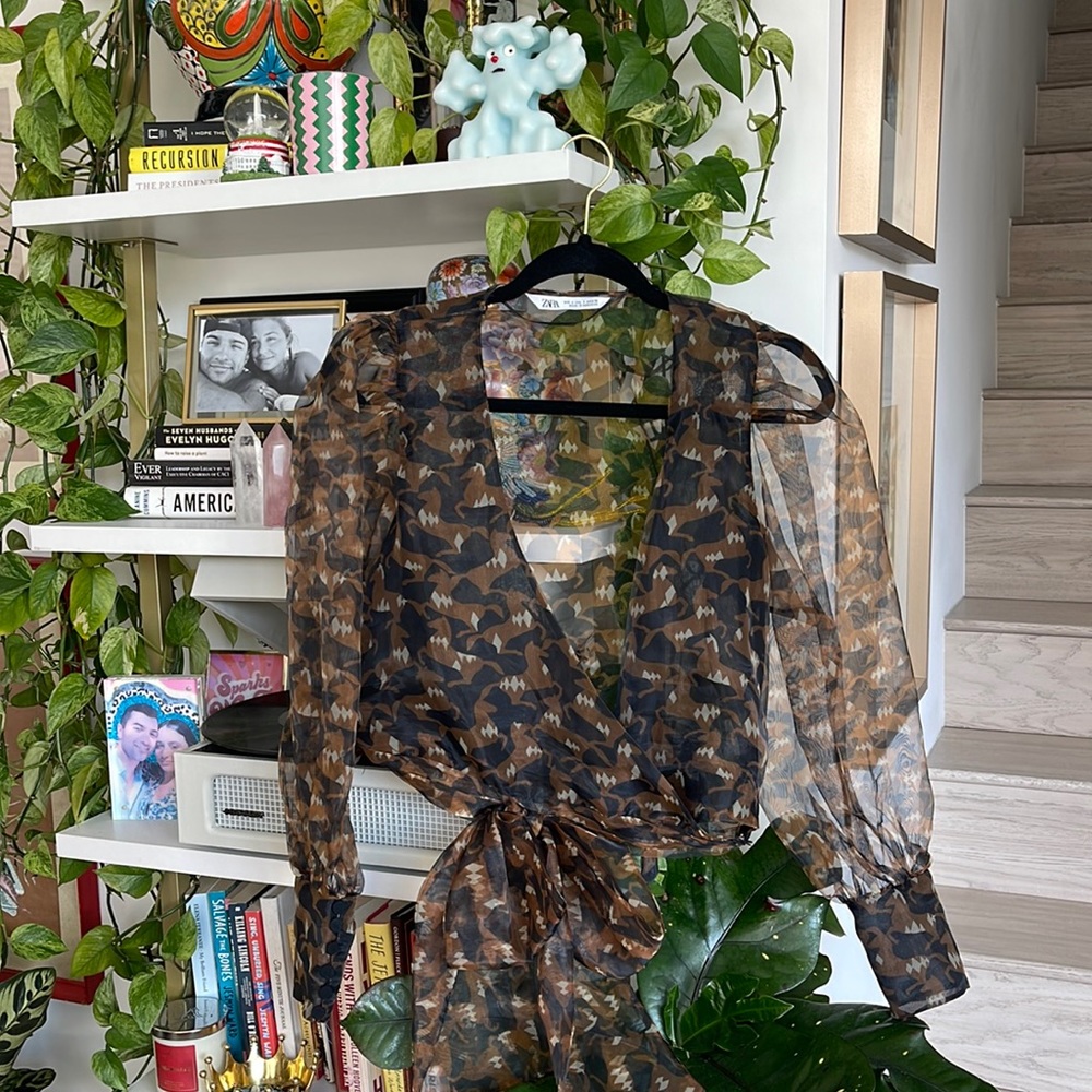 Zara sheer tie blouse